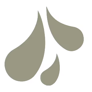 Wet